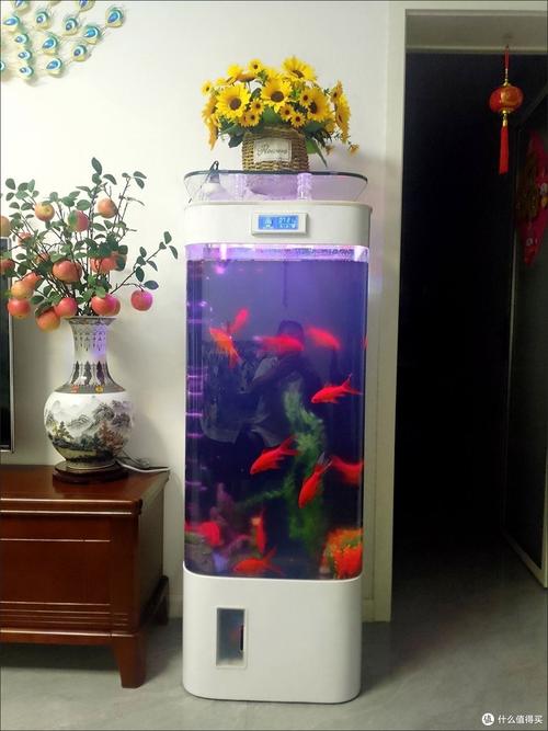 1新款智能方形鱼缸热弯一体成型客厅家用小型懒人免换水水族箱